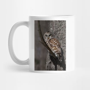 Barred Owl - Low, Quebec Mug
